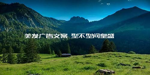 美发广告文案 型不型问皇盛